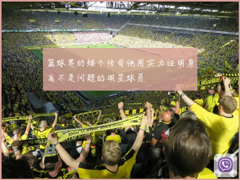 篮球界的矮个传奇他用实力证明身高不是问题的明星球员