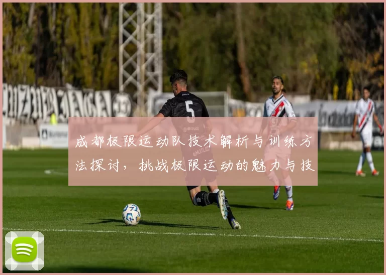 成都极限运动队技术解析与训练方法探讨，挑战极限运动的魅力与技巧MBA