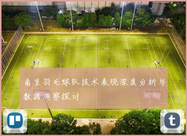 南京羽毛球队技术表现深度分析与数据洞察探讨