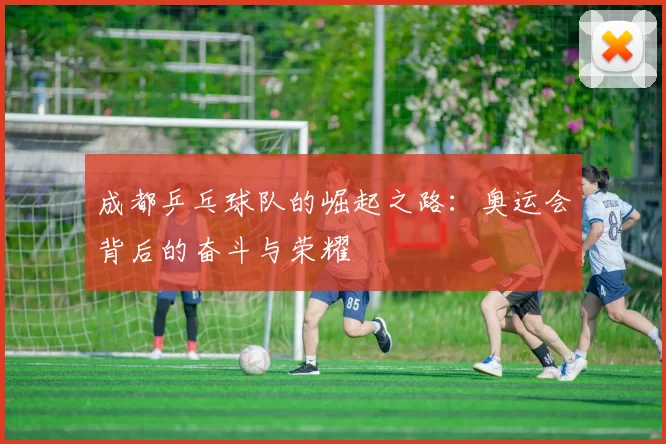 成都乒乓球队的崛起之路：奥运会背后的奋斗与荣耀