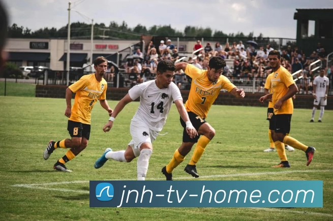 今年会官网APP 高清赛事图